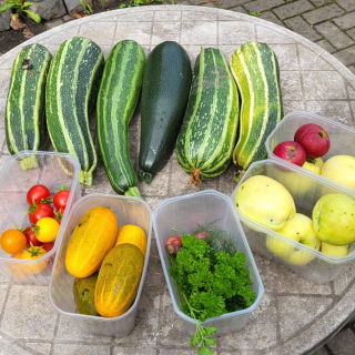 große Ernte